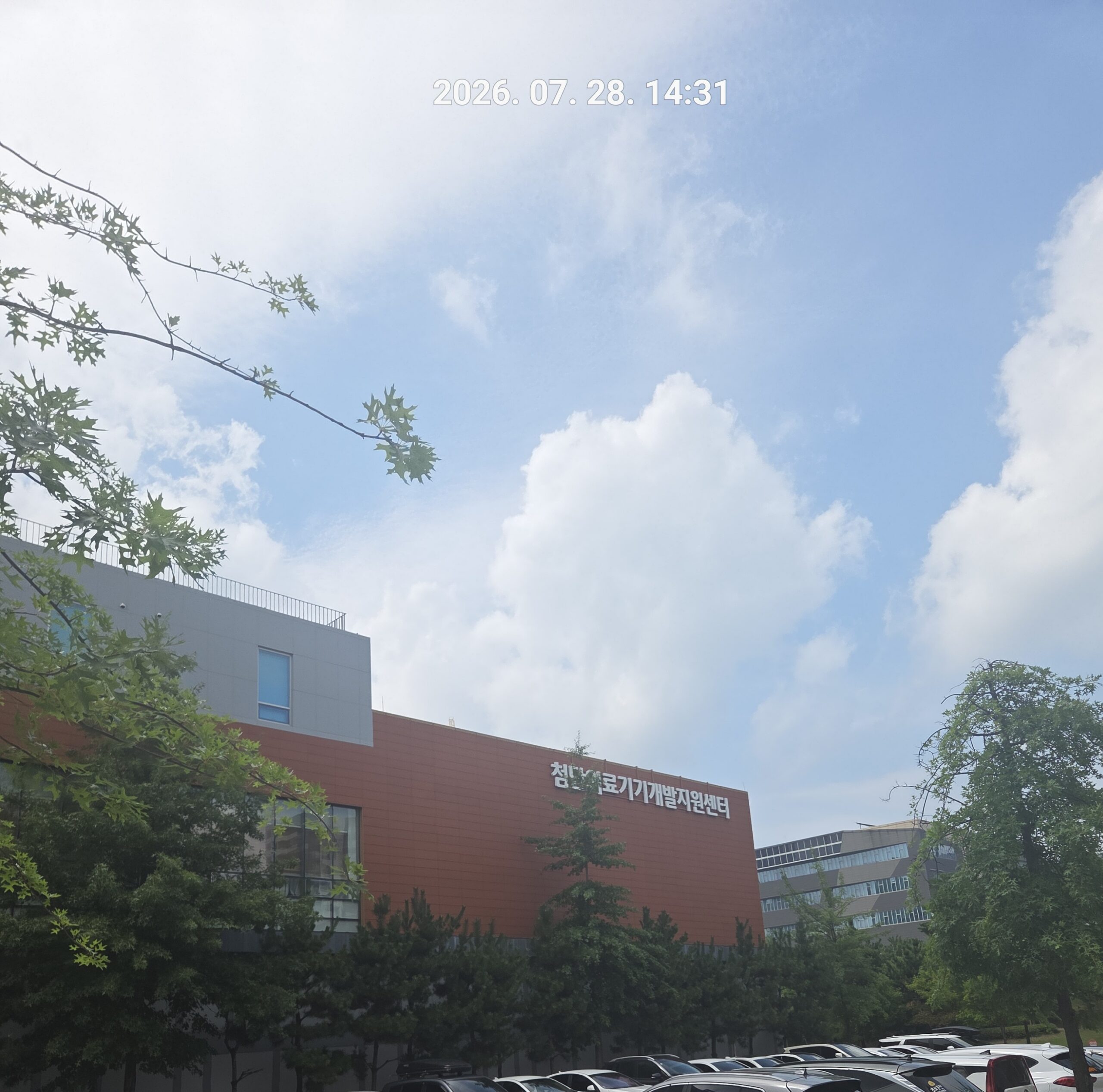 분당 바이오기업 → 오송 첨단의료단지 관련 기관 LMO 연구시료 극저온 운송